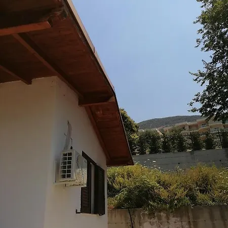 Konti فلورا