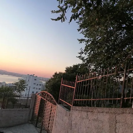 Konti فيلة فلورا